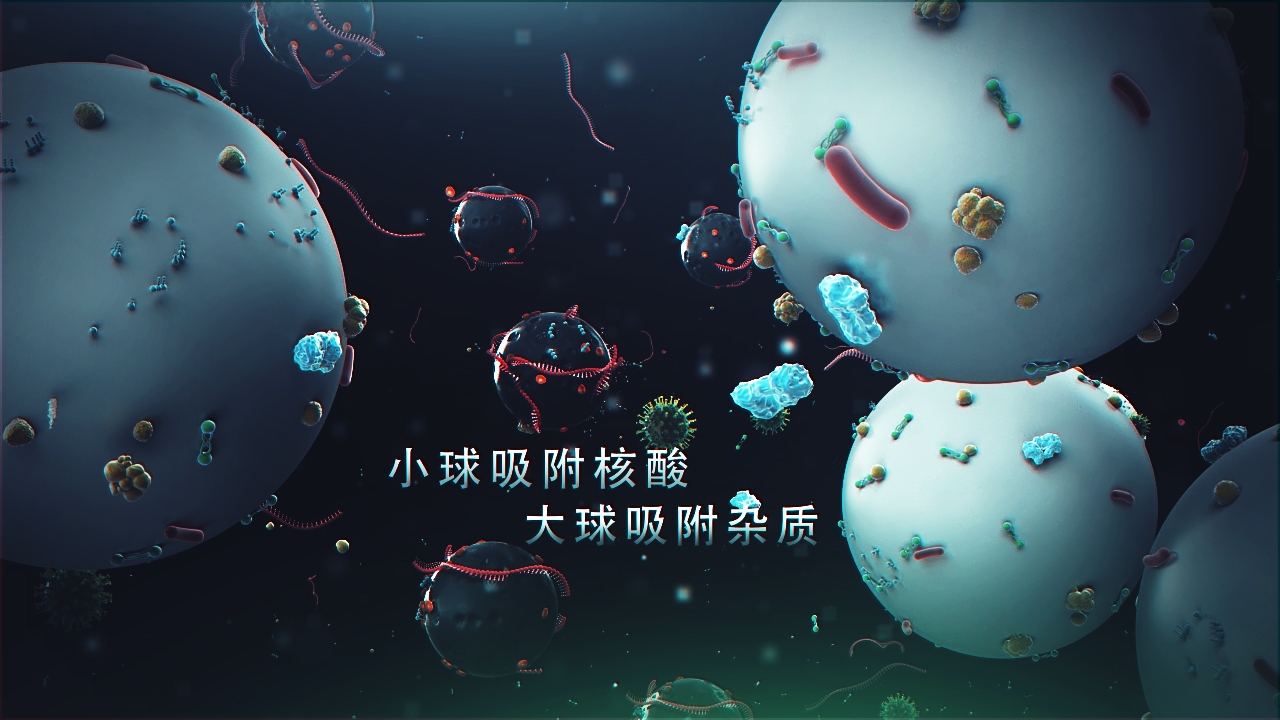 邁維動(dòng)漫簽約上海速創(chuàng  )診斷產(chǎn)品有限公司冠狀病毒檢測醫學(xué)醫療三維動(dòng)畫(huà)制作(圖3) 邁維動(dòng)漫簽約上海速創(chuàng  )診斷產(chǎn)品有限公司冠狀病毒檢測醫學(xué)醫療三維動(dòng)畫(huà)制作(圖3)