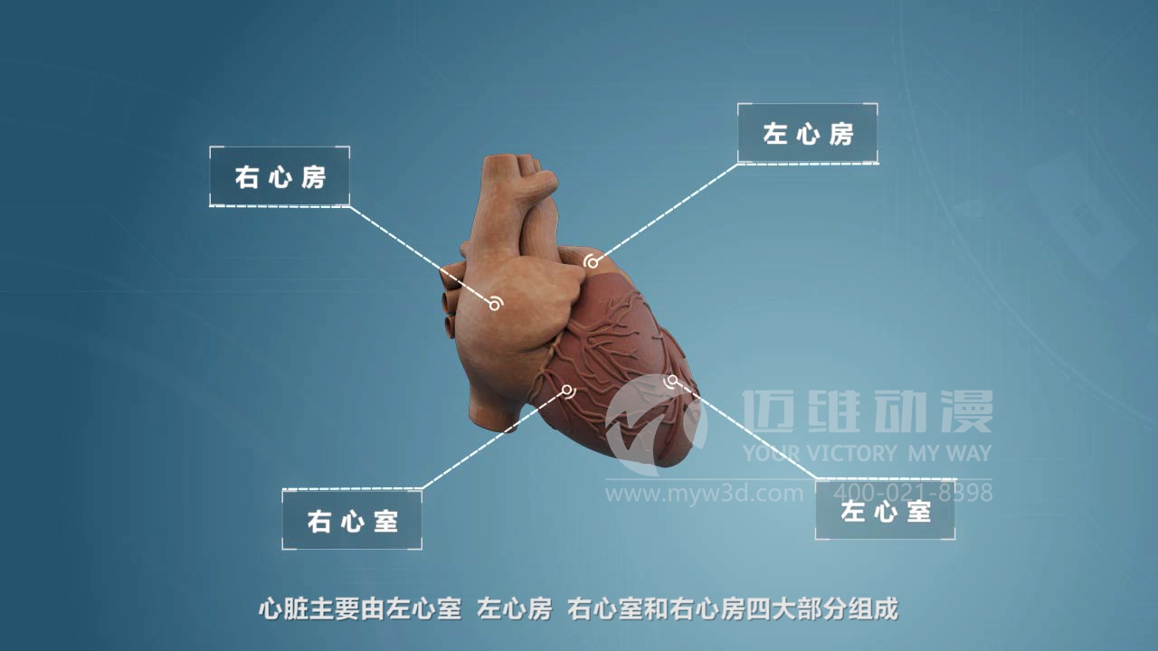 醫療器械三維動(dòng)畫(huà)制作 醫療器械三維動(dòng)畫(huà)制作