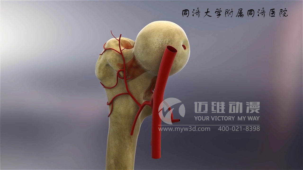 醫學(xué)仿真三維動(dòng)畫(huà)演示 醫學(xué)仿真三維動(dòng)畫(huà)演示