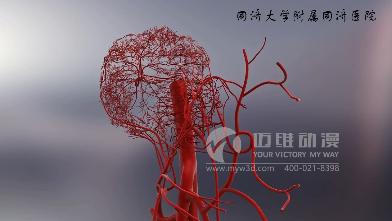 三維動(dòng)畫(huà)制作.png 三維動(dòng)畫(huà)制作.png