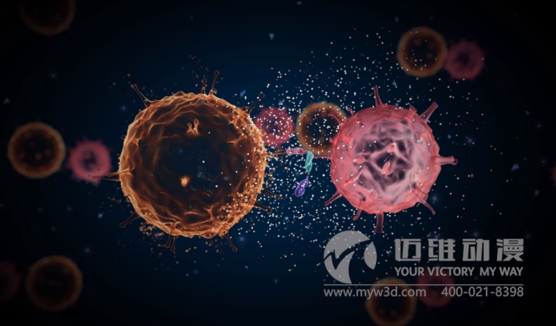 三維動(dòng)畫(huà)給醫學(xué)領(lǐng)域帶來(lái)哪些便利？(圖3)