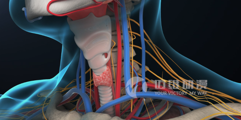 三維動(dòng)畫(huà)給醫學(xué)領(lǐng)域帶來(lái)哪些便利？(圖1)