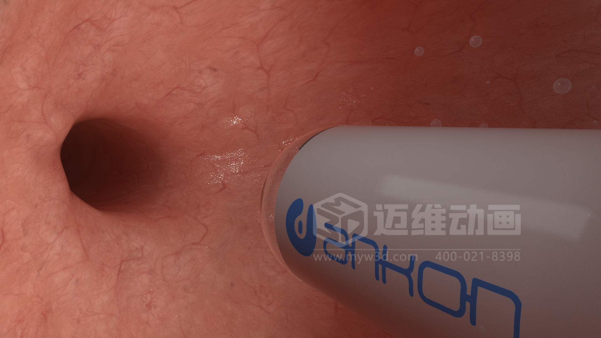 磁控膠囊機器人三維動(dòng)畫(huà)(圖4) 磁控膠囊機器人三維動(dòng)畫(huà)(圖4)