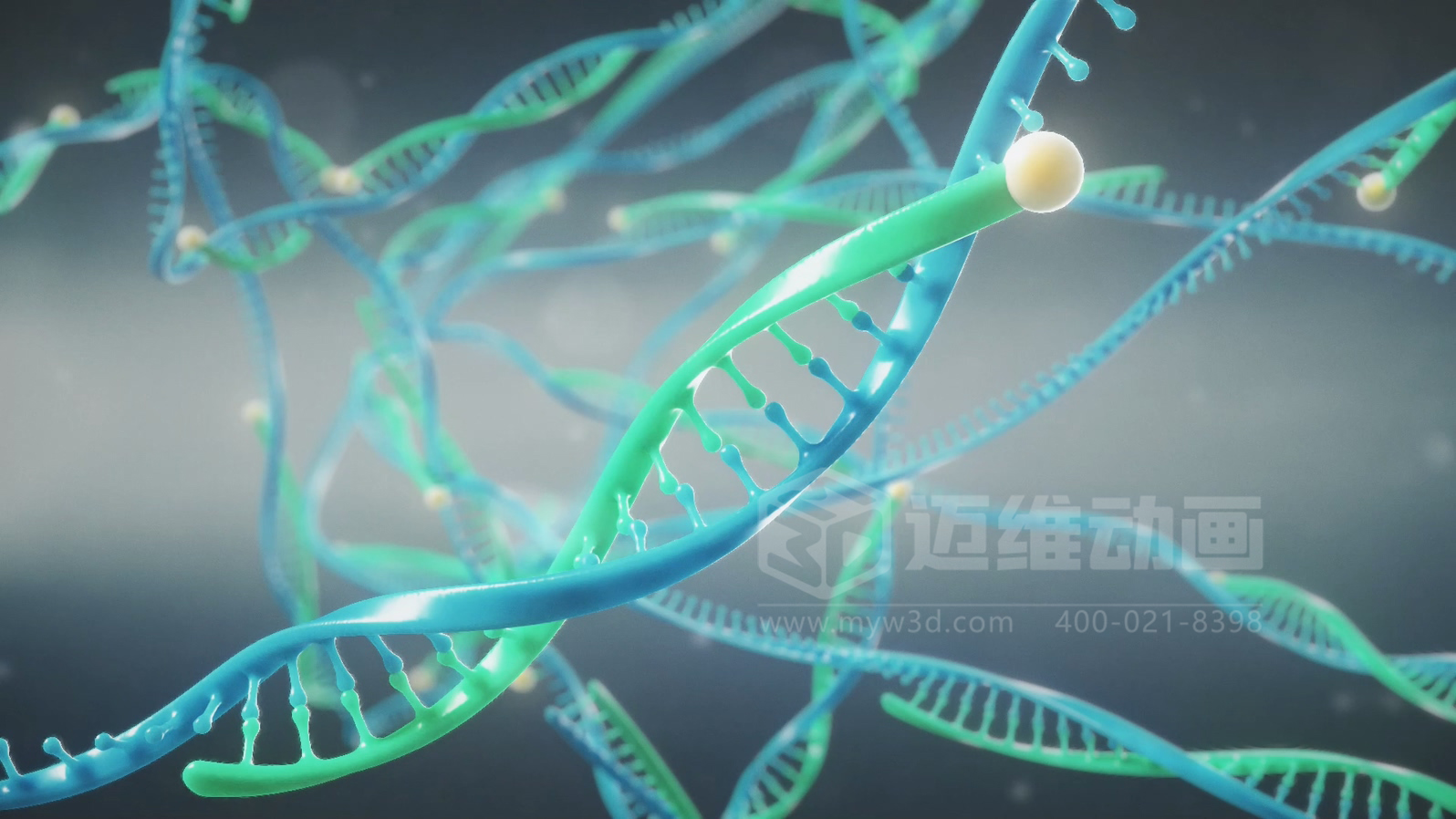 醫療分子生物學(xué)三維動(dòng)畫(huà)(圖2) 醫療分子生物學(xué)三維動(dòng)畫(huà)(圖2)
